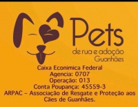 ONG Pets de Rua e Adoção Guanhães suspende atendimentos por falta de recursos financeiros