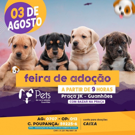 Adote um amigo vira-lata na Feira de Adoção de Filhotes da ONG Pets de Rua e Adoção Guanhães