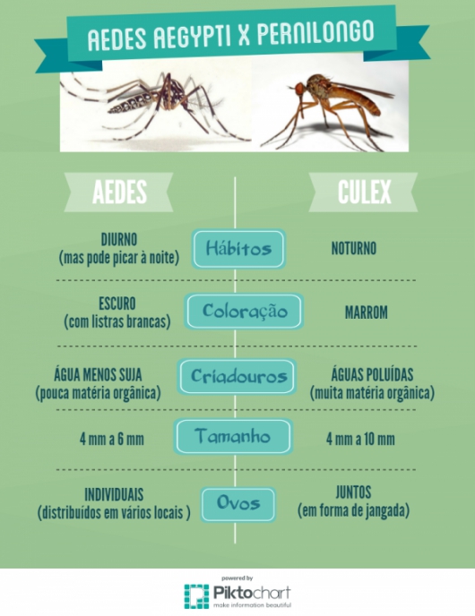 Estudo da Fiocruz aponta pernilongo como potencial transmissor do vírus Zika