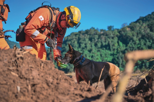 Corpo de Bombeiros Militar de Minas Gerais publica edital com abertura de 342 vagas para concurso p&uacute;blico com sal&aacute;rios que podem chegar a R$ 11 mil