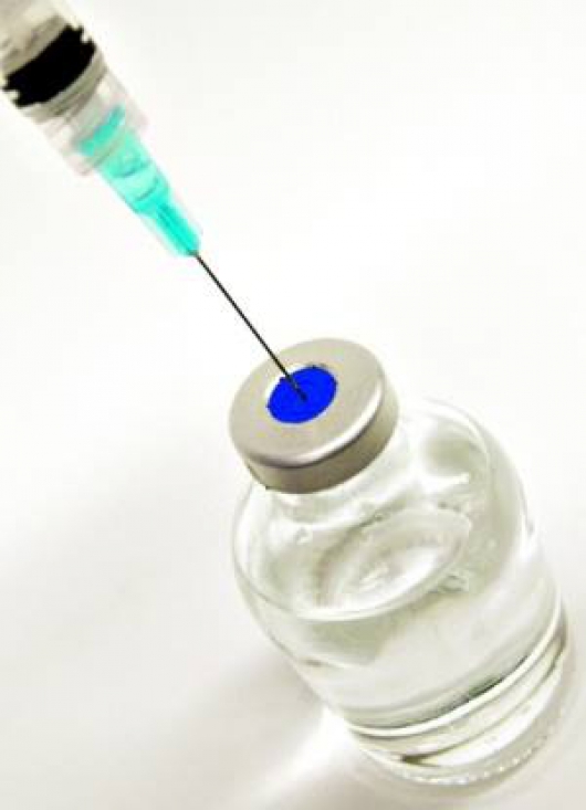 INOVAÇÃO: Vacina contra a dengue no Brasil é aprovada pela Anvisa