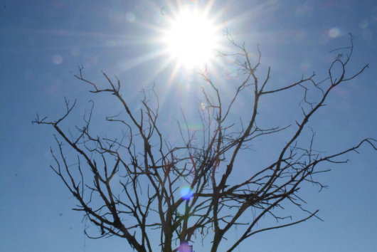Julho terá temperaturas acima da média em grande parte do país
