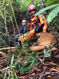 Cão encontra idoso em uma mata fechada, após cinco dias desaparecido em Braúnas