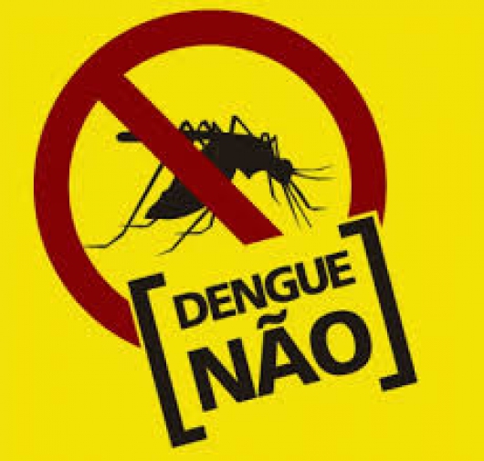 Alerta: 19 casos de dengue já foram notificados em Guanhães