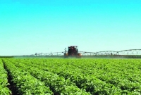 Brasileiro consome 5,2 kg de agrotóxicos por mês, segundo Inca