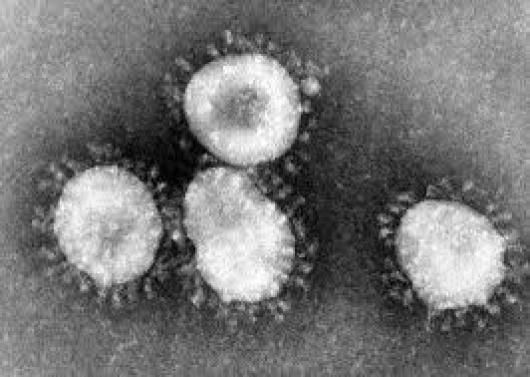 Vigilância Sanitária de Ipatinga, monitora dois casos suspeitos de coronavírus