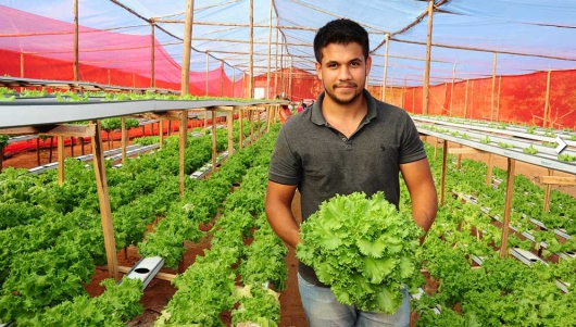 Após sucesso na produção de alface hidropônica, jovem agricultor de José Raydan ganha destaque nas mídias