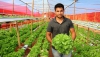 Ap&oacute;s sucesso na produ&ccedil;&atilde;o de alface hidrop&ocirc;nica, jovem agricultor de Jos&eacute; Raydan ganha destaque nas m&iacute;dias