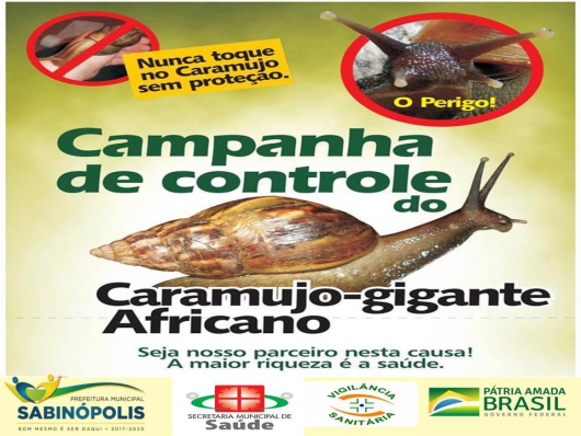 Sabinópolis lança campanha de Controle do Caramujo-Gigante-Africano
