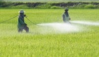 Intoxicações por agrotóxicos mataram 120 mineiros em sete anos