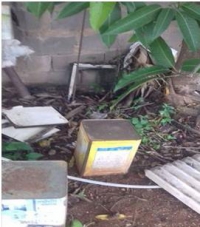 GUANHÃES: Moradores reclamam da quantidade de lotes abandonados em Guanhães e relatam aparecimento de animais peçonhentos