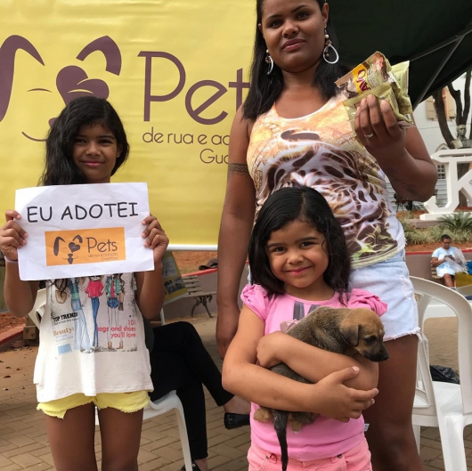 Mais de 20 cães são adotados em Feira de Adoção da ONG Pets de Rua em Guanhães