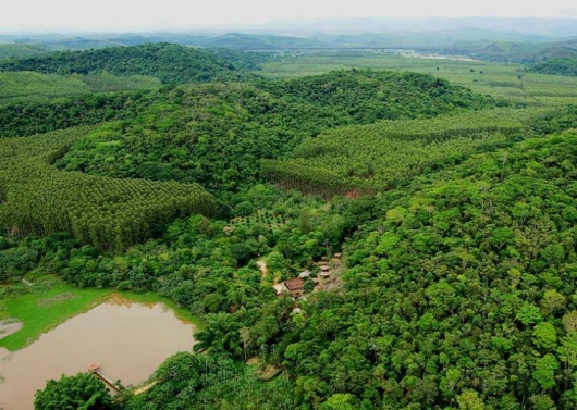 Educação Ambiental - CENIBRA inicia comemorações do Dia Mundial do Meio Ambiente