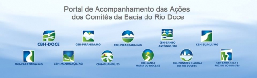 Dia Mundial do Meio Ambiente: CBHs da Bacia do Rio Doce celebram resultados já alcançados e planejam ações