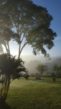 FRIO NA ZONA RURAL: Moradores registram mínima de 2°C no Córrego do Maia