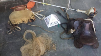 Combate a furto de gado: PM localiza propriedade com vários animais furtados na zona rural de Ferros
