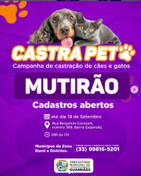 Guanhães terá mais um Mutirão de Castração “Castra Pet”