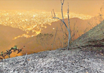 Minas registra recorde de incêndios em período tradicionalmente chuvoso