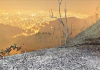 Minas registra recorde de incêndios em período tradicionalmente chuvoso