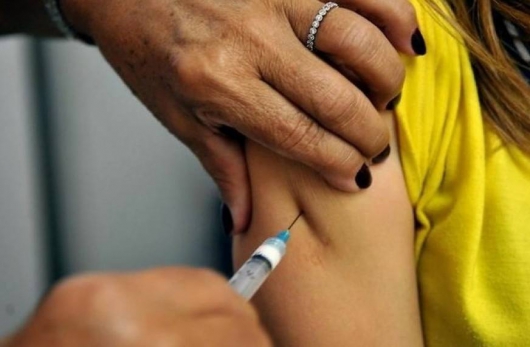 Saiba quem deve se vacinar contra a febre amarela e se você já está devidamente imunizado!