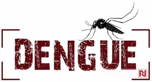 ALERTA: Município de Guanhães registra número crescente de casos dengue na cidade e alta infestação do mosquito transmissor