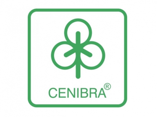 Oportunidade: Cenibra abre inscrições para vagas de Estágio Curricular
