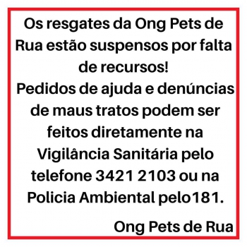 ONG Pets de Rua e Adoção Guanhães continua com os atendimentos suspensos por falta de recursos