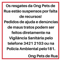 ONG Pets de Rua e Adoção Guanhães continua com os atendimentos suspensos por falta de recursos