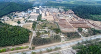 Cenibra tem novo recorde de produção anual de celulose