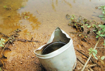 Minas Gerais concentra 1/4 das notificações de dengue do país