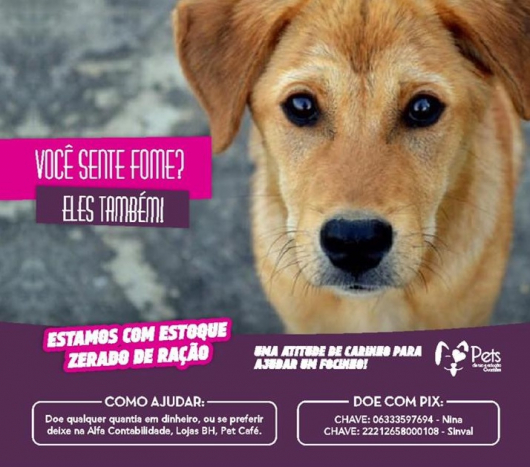 MUNDO PET: ONG Pets de Rua e Adoção Guanhães está com estoque zerado de ração
