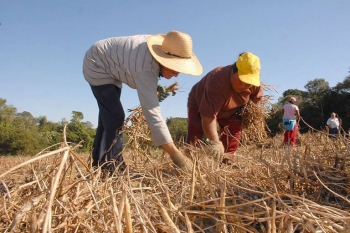 Novo Projeto De Lei: Trabalhador rural poderá ter casa e comida em vez de salário