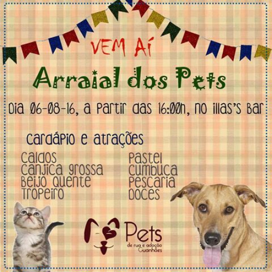 ONG Pets de Rua e adoção Guanhães vai realizar arraial beneficente e conta com ajuda da população