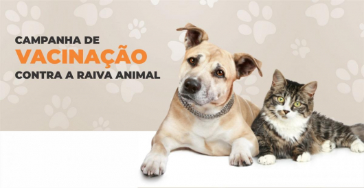 MUNDO PET: Confira o cronograma da vacinação contra a raiva para sábado e início da próxima semana em Guanhães