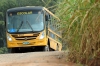 Volta &aacute;s aulas: Transporte Escolar na Zona Rural funciona normalmente com o in&iacute;cio do ano letivo