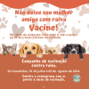 Campanha de vacina&ccedil;&atilde;o contra a raiva animal tem in&iacute;cio nesta semana em Guanh&atilde;es