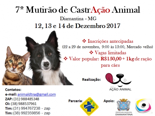 7° Mutirão de CastrAÇÃO Animal será realizado no próximo mês em Diamantina As inscrições terminam hoje