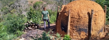 Operação reprime desmatamento ilegal em Guanhães e região