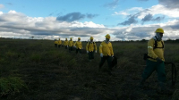 IEF contrata brigadistas para atuar em prevenção e combate a incêndios florestais