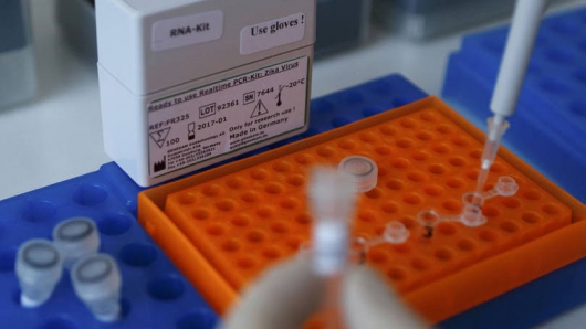 EUA investigam 14 novos relatos de transmissão sexual do zika vírus