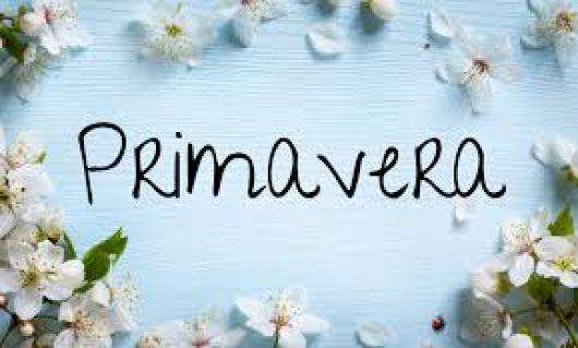 BOAS-VINDAS À ESTAÇÃO DAS FLORES! Primavera tem início neste domingo, 22 de setembro