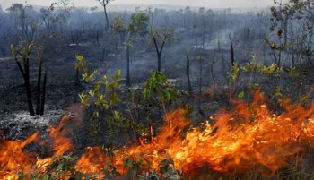 Ventos de agosto ascendem ainda mais o alerta para o risco de queimadas