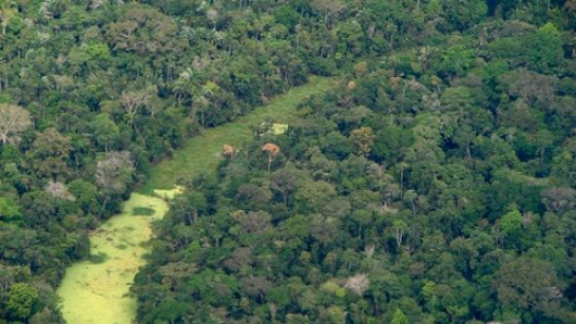 Brasil perde 1,8% de suas florestas em dois anos