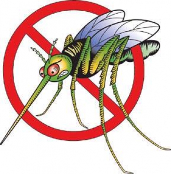 Governador Valadares pode ter infestação dos mosquitos da dengue e febre chikungunya