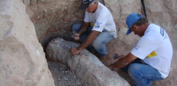 Fósseis de 80 milhões de anos são encontrados em obra em Uberaba