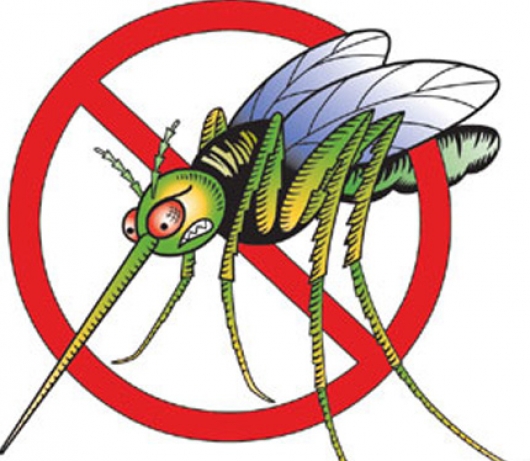 Saúde alerta para aumento de focos da dengue no Serro