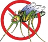 Saúde alerta para aumento de focos da dengue no Serro