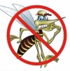 Secretaria Municipal de Saúde divulga boletim demonstrativo de localidades com larvas do Aedes aegypti