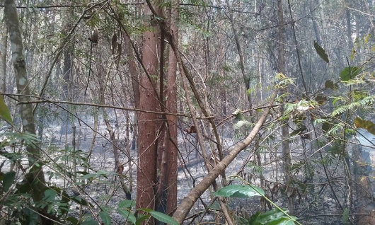 Incêndio na reserva do IFMG/SJE assusta moradores