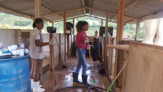 Mutirão realiza limpeza e desinfecção no Canil Municipal do Serro